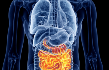 Câncer e sistema imunológico: a importância da microbiota