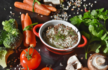 A influência da dieta plant based na diabete mellitus