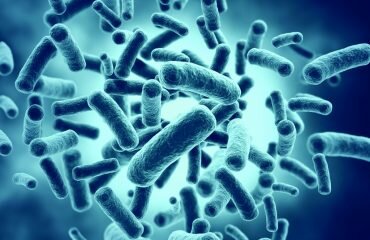 Relação, hipotireoidismo e supercrescimento bacteriano no intestino delgado (SIBO)
