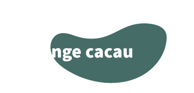 lounge cacau